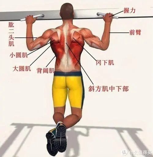 鹿泉区绿化工程总包